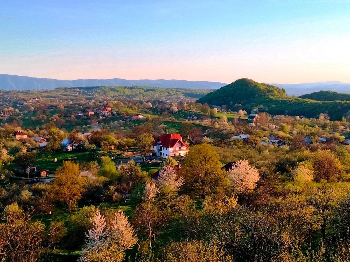 Bed and Breakfast Casa Comilor Surdesti  Экстерьер фото
