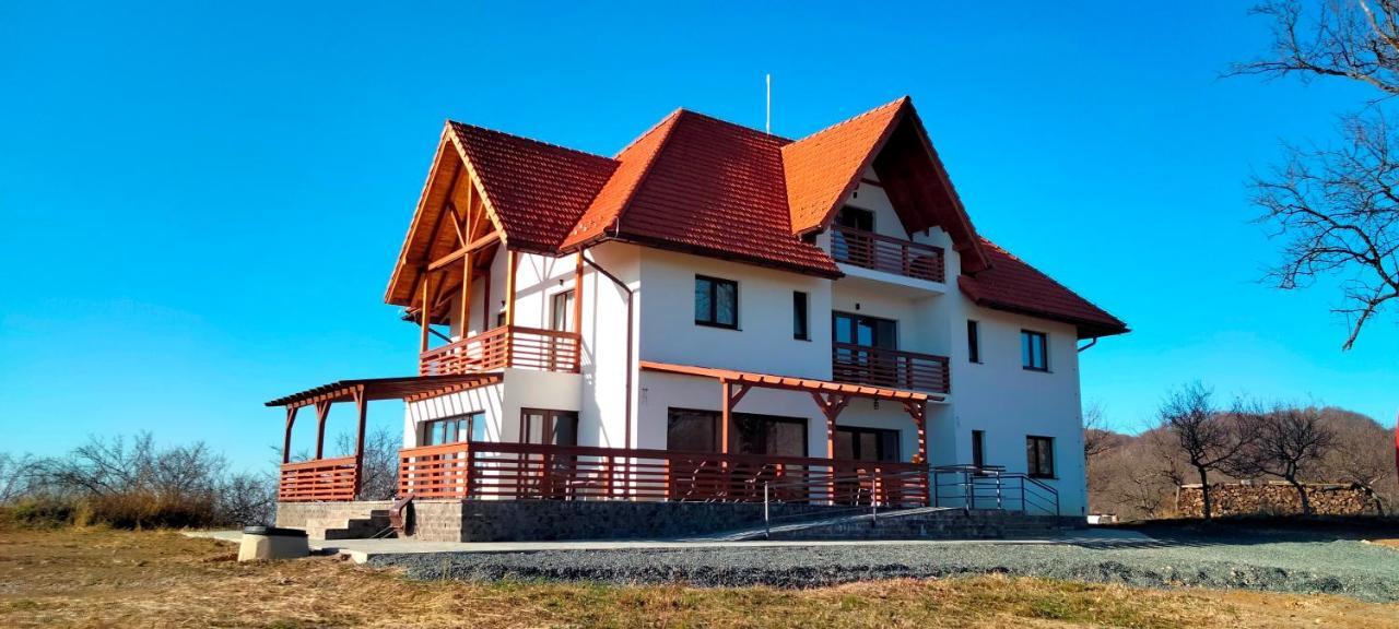 Bed and Breakfast Casa Comilor Surdesti  Экстерьер фото