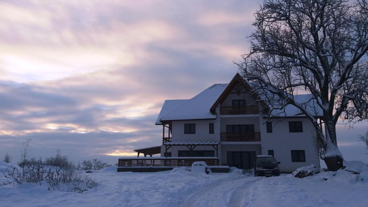 Bed and Breakfast Casa Comilor Surdesti  Экстерьер фото