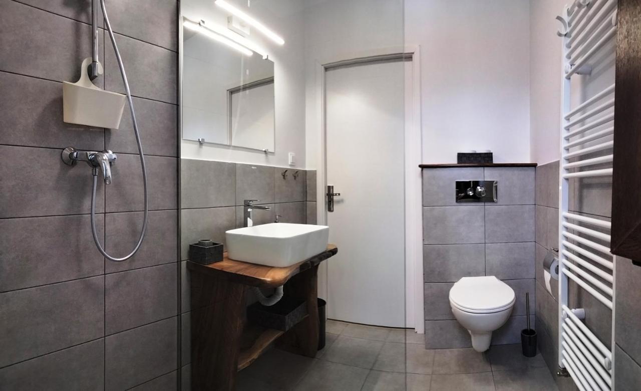 Bed and Breakfast Casa Comilor Surdesti  Экстерьер фото