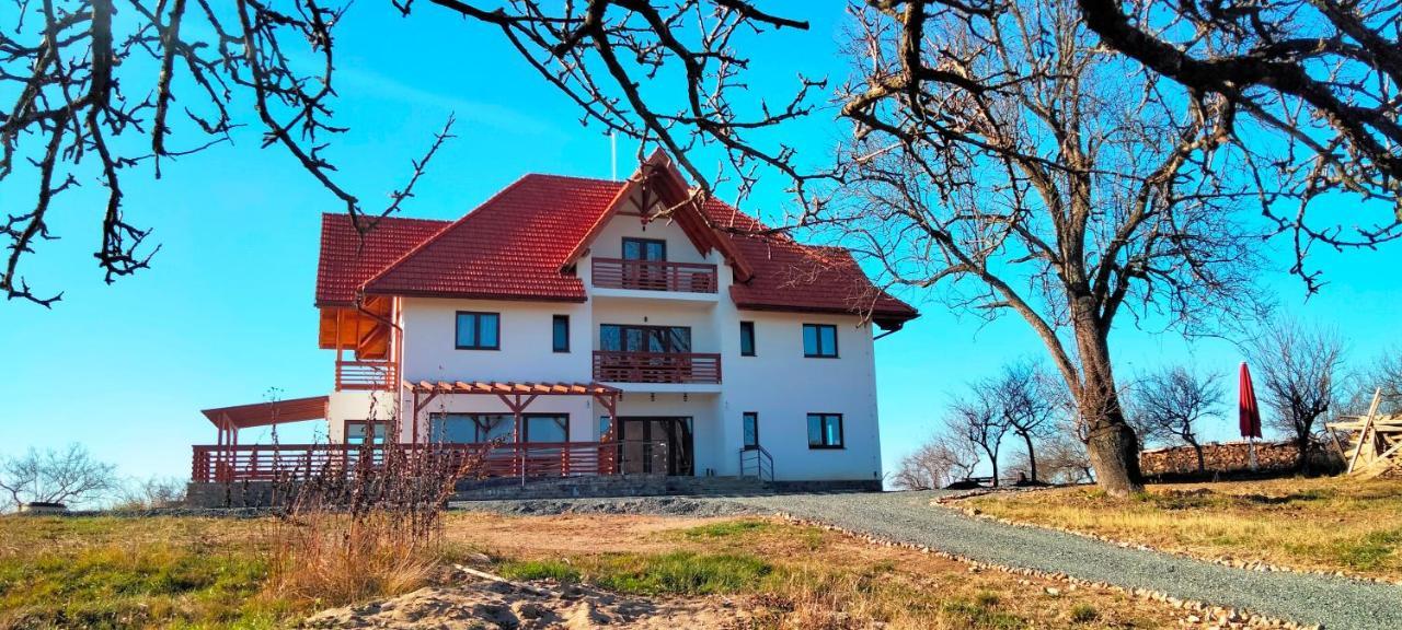 Bed and Breakfast Casa Comilor Surdesti  Экстерьер фото