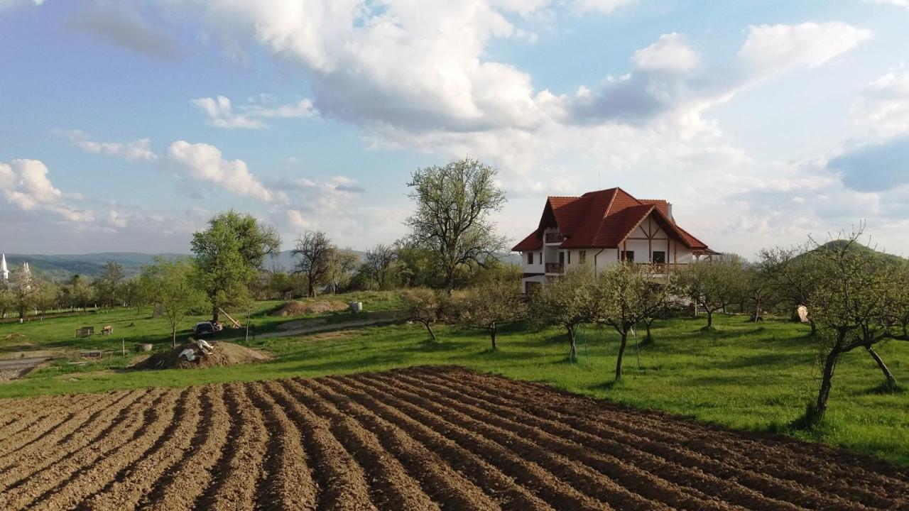 Bed and Breakfast Casa Comilor Surdesti  Экстерьер фото