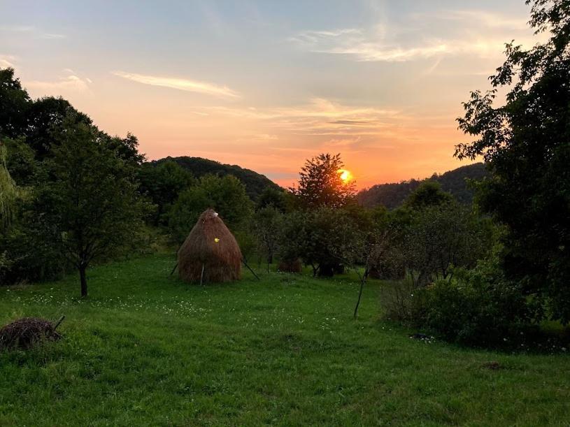 Bed and Breakfast Casa Comilor Surdesti  Экстерьер фото